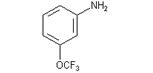 3-(Trifluoromethoxy)aniline